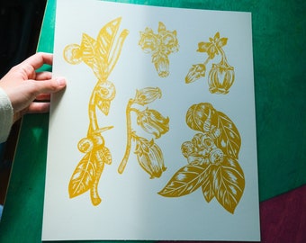 Limited Edition &quot;Blueberries&quot; Screen Print