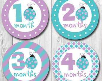 Ladybug Monthly Stickers Ladybug Stickers Red Black Ladybug Nursery Decor Baby Month Sticker Black and Red Infant Photo Props 423