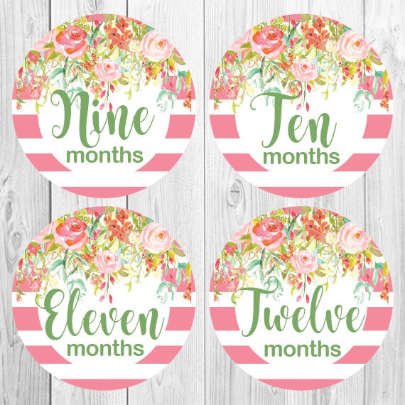 FREE GIFTS Baby Girl Month Stickers, Monthly Baby Stickers, Floral,  Flowers, Watercolor Gold Baby Newborn Photo Prop Made in USA 