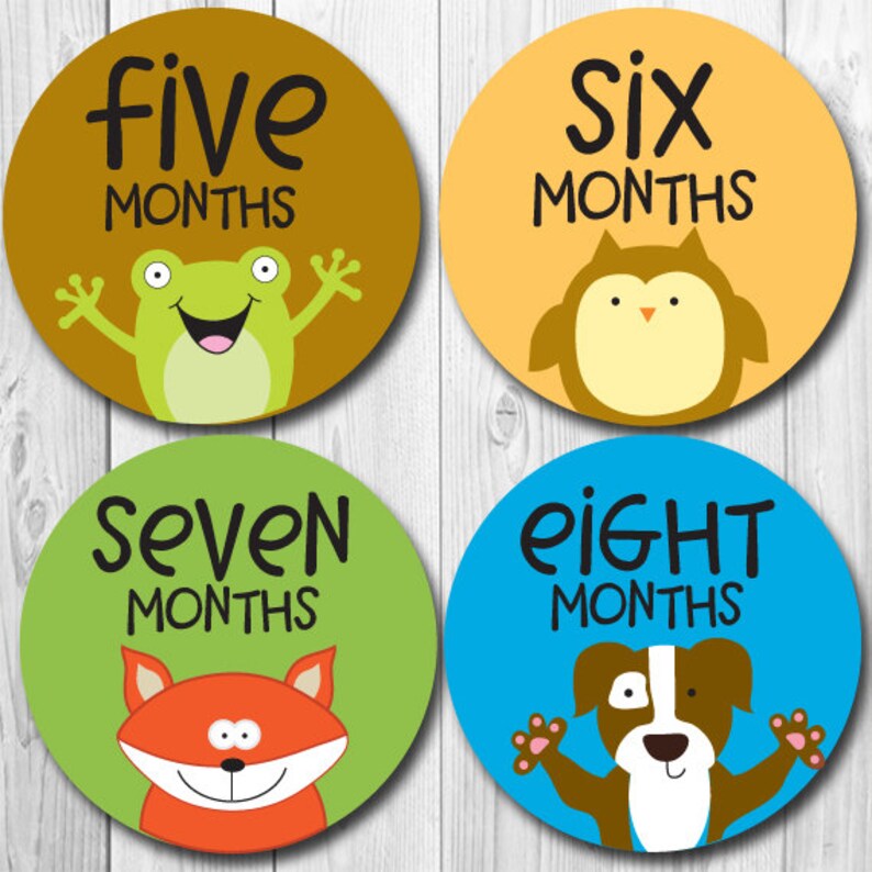 Monthly Baby Stickers, Milestone Stickers Animal Monthly ...