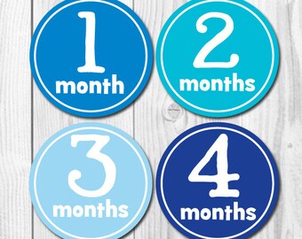 FREE GIFT!  Monthly Baby Boy Stickers, Milestone Stickers, Teal, Blue, Aqua, Milestone Stickers for baby