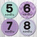 FREE GIFT Baby Month Stickers Girl Purple Teal Monthly Baby - Etsy