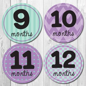 FREE GIFT Baby Month Stickers Girl Purple Teal Monthly Baby - Etsy
