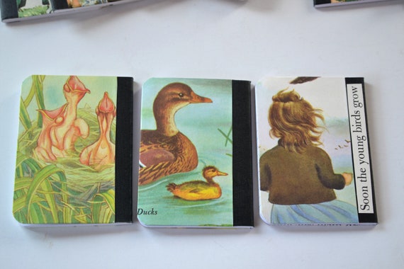 Bird Watcher S Notebook Set Backyard Birds Altered Etsy