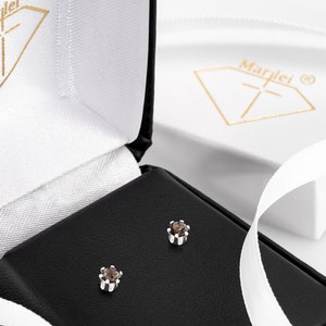 May include: A pair of small, brown gemstone earrings in a black jewellery box. The earrings are set in silver and have a simple, elegant design.