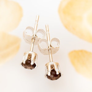 May include: A pair of silver stud earrings with small, round, dark brown gemstones. The earrings have a simple, classic design.