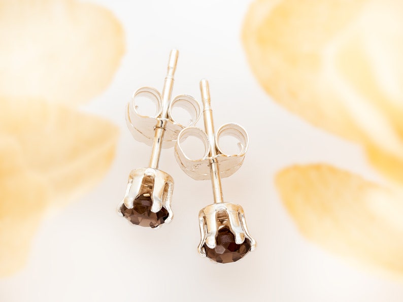 May include: A pair of silver stud earrings with small, round, dark brown gemstones. The earrings have a simple, classic design.