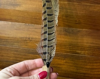 Vintage Hat Pin, Pheasant Feather, hat accessory, Feather