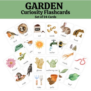 Cartes-éclair - Cartes de curiosité trésors du jardin pour l'esprit en pleine croissance, cartes-éclair Montessori, préscolaire, tout-petit, école à la maison pour enfant