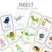 Movement Cards Bugs for Toddlers and Preschool, Busy Activities, Fun ...