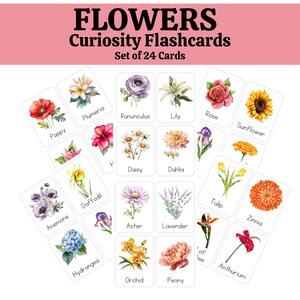 Flashcards - Flowers Floral Flora Curiosity Cards for the Growing Mind, Montessori Flash cards, Preschool, Toddler, Child -  Homeschool