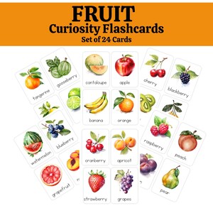 Flashcards - Fruit Curiosity Cards for the Growing Mind, Montessori Flash cards, Preschool, Toddler, Child - Learning Homeschool