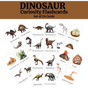 Flashcards - cartes de curiosité de dinosaure pour l'esprit en pleine croissance, cartes flash Montessori, préscolaire, tout-petit, école à la maison pour enfant