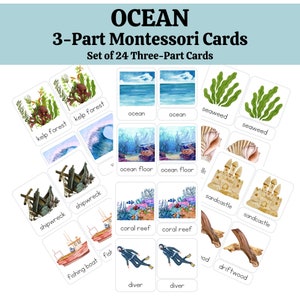 Tarjetas de 3 partes - Océano - Tarjetas didácticas, Mar, Tarjetas didácticas Montessori, Preescolar, Niños pequeños, Niños - Aprendizaje permanente en casa