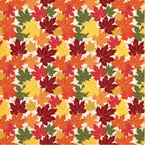 Carta Bella FALL BREAK Collection Kit 12 x 12 Echo Park image 10