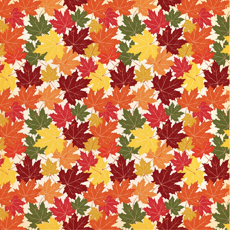 Carta Bella FALL BREAK Collection Kit 12 x 12 Echo Park image 10