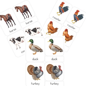 Boerderij 3-delige kaarten voor peuters en kleuters Nomenclatuur, drukke activiteiten, leren, Montessori, flashcards