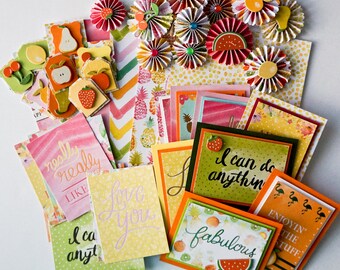 Inspiration Kit WATERCOLOR FRUITS by DCWV - Mixed Media Embellishment Scrapbooking Card making Mini Albums Tags Journals