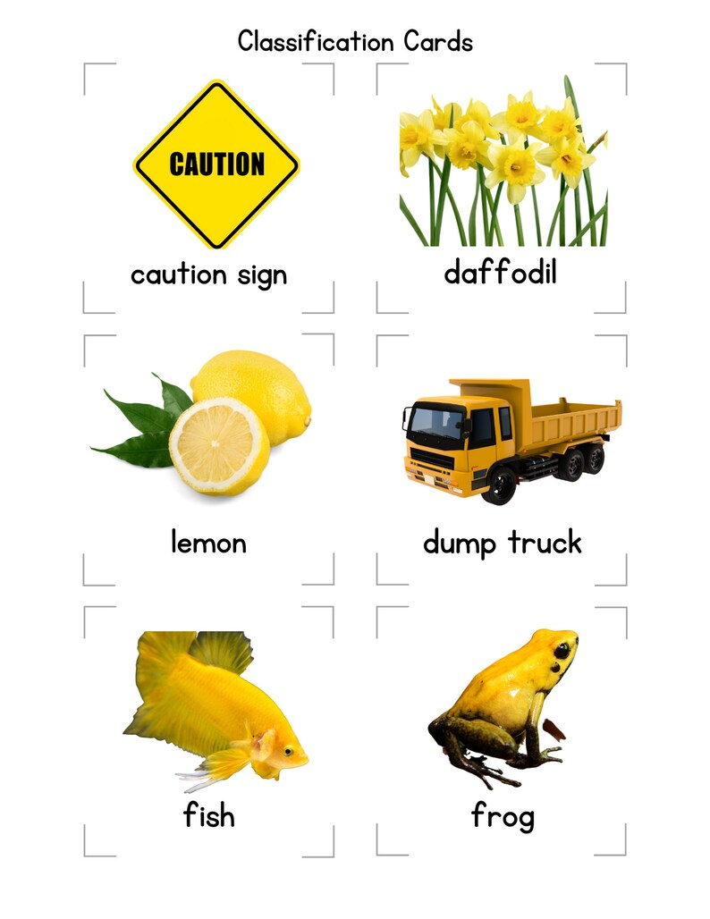 Classification Cards, 300 Cards, 36 Category Cards - Flash Cards ...