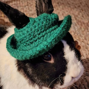 May include: A black and white rabbit wearing a green crocheted hat. The rabbit is looking to the right of the frame and has its mouth slightly open.