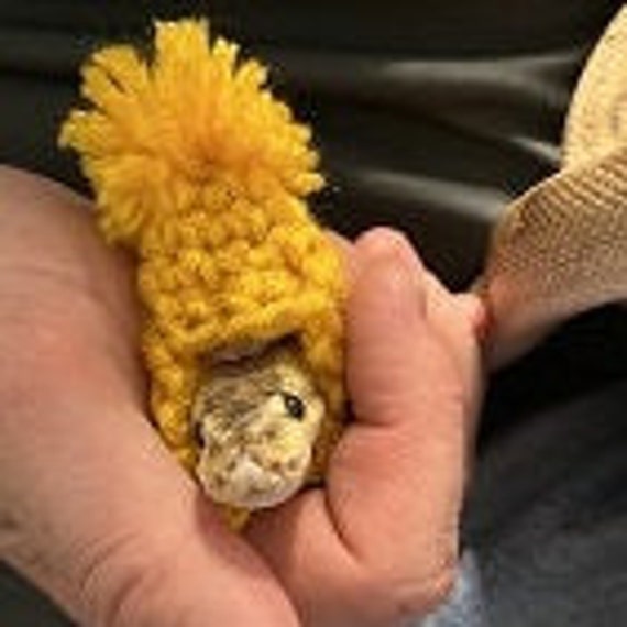 Snake Hat Pattern Snakes In Knitted Hats