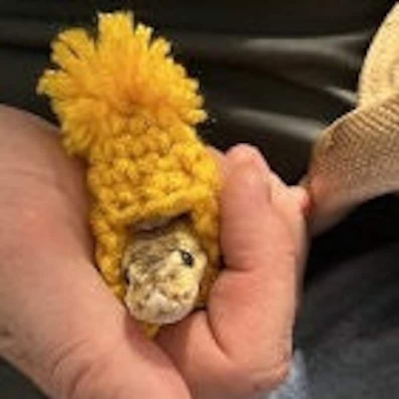 K&ouml;nnte beinhalten: Ein gelber H&auml;kelhut mit einem Bommel oben, getragen von einer Schlange.