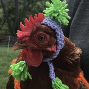 Crochet Chicken Hat Pattern