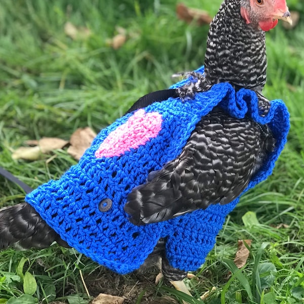 Chicken sweater, crochet chicken sweater, chicken clothes, chicken outfit, hen sweater, rooster sweater, bird sweater, crochet pet sweater