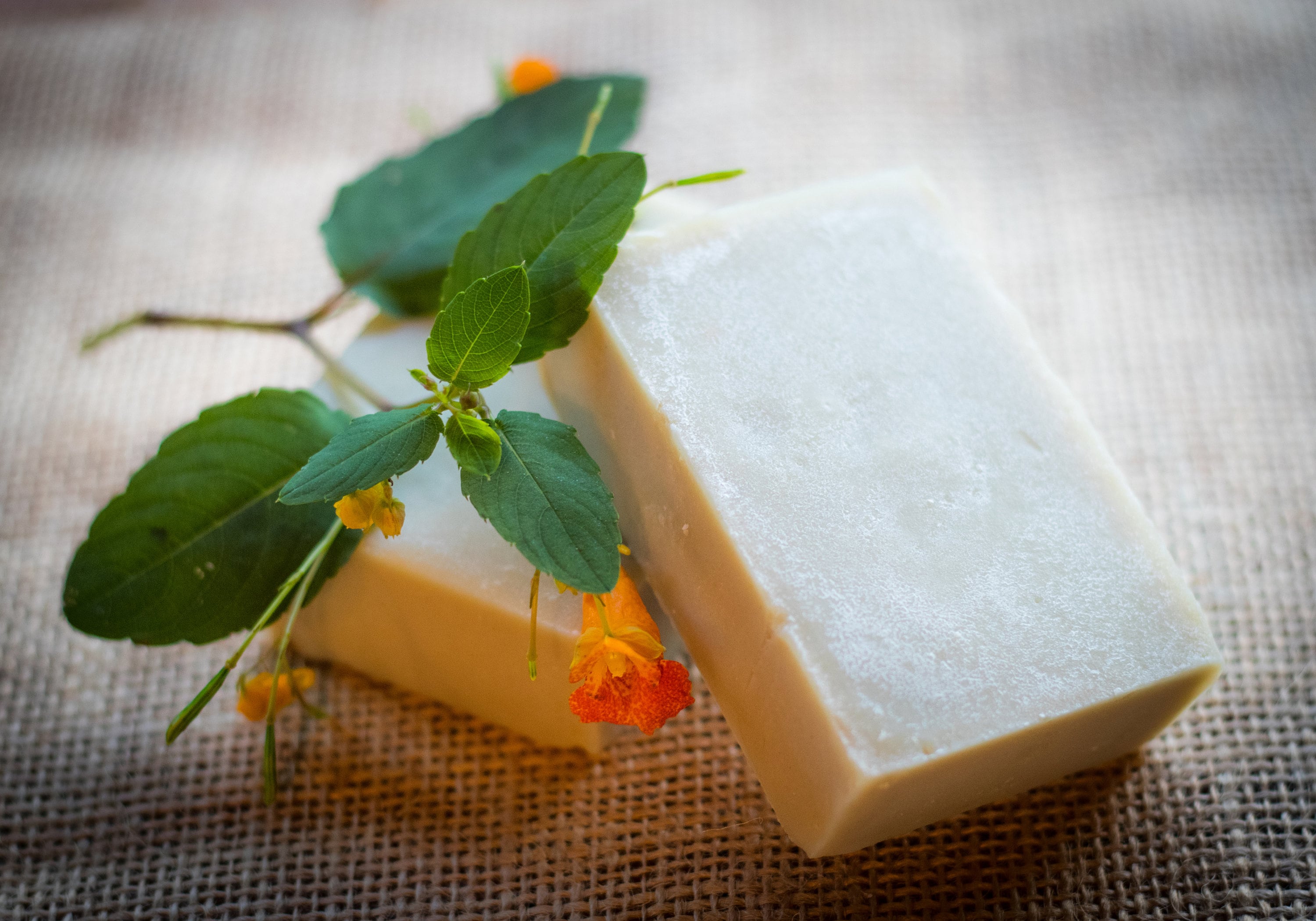 Turmeric Ginger Goat Milk Soap — Dry Hollow Farm