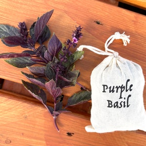 Basilico viola essiccato biologico / erba / tè / cucina