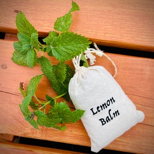 Organic Lemon Balm | Dried Herb | Tea