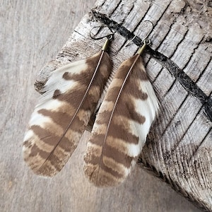 May include: A pair of drop earrings featuring natural feathers with brown and white horizontal striped patterns. The feathers are attached to dark metal hooks with small cylindrical connectors, showcasing a soft, textured appearance.