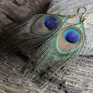 Peacock feather earrings Real feather earrings Boho hippie jewelry for women Festival fashion