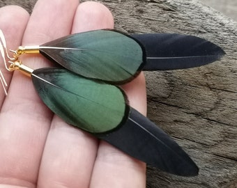 Feather earrings Black feather earrings