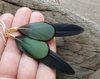 Feather earrings Black feather earrings