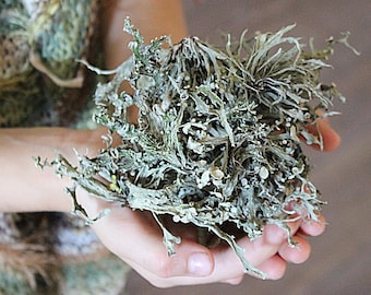 Lichen Moss, Gray Natural Lichen, Gray Lichen Dry Art Crafts Supply