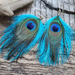 Peacock feather earrings Boho hippie jewelry for women Festival fashion Real feather earrings
