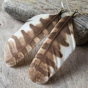 May include: A pair of drop earrings featuring natural feathers with a distinct brown and white striped pattern. The feathers are attached to antique brass-toned metal hooks, creating a long, slender silhouette that hangs vertically from the top.