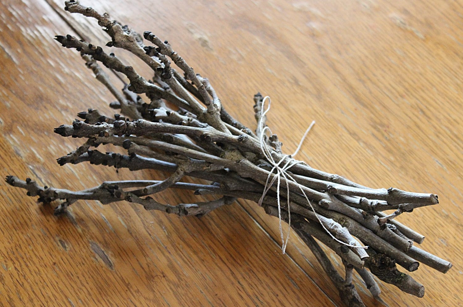 Wood craft twigs Ash tree twigs Dry wooden branches Woodland Etsy