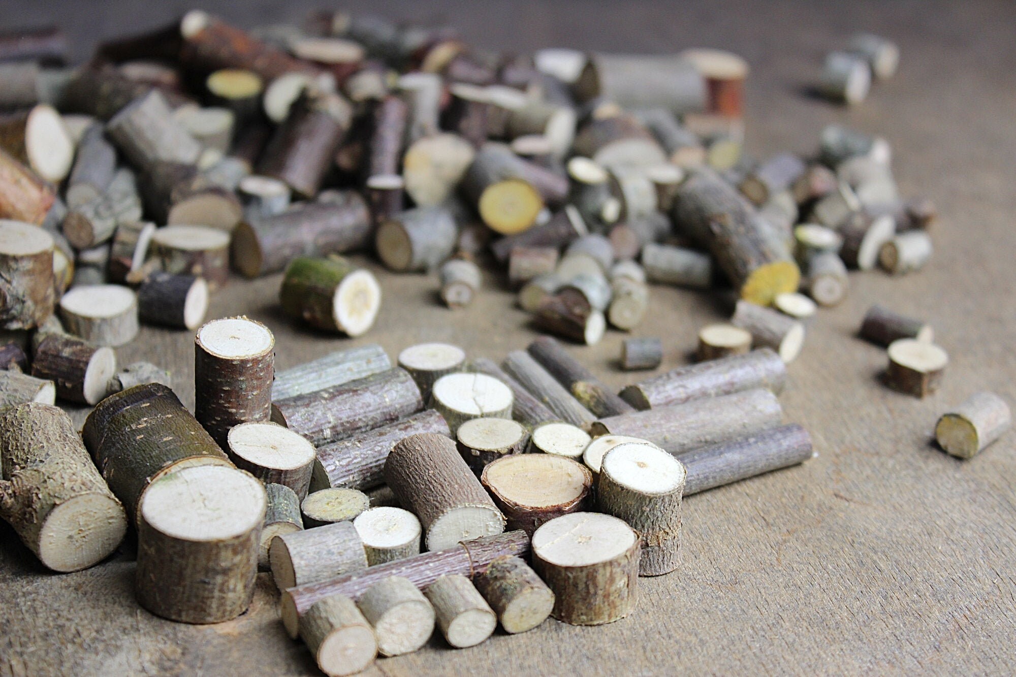 Small wood slice Wood twigs Wood pieces Wood craft supply Etsy