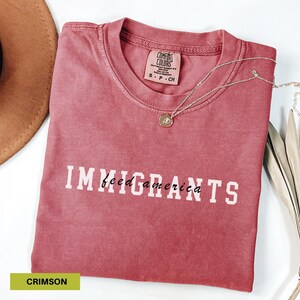 Immigrants feed america shirt Political tee Anti hate shirt Immigrants rights t-shirt Immigrant shirt Anti racism shirt Comfort colors