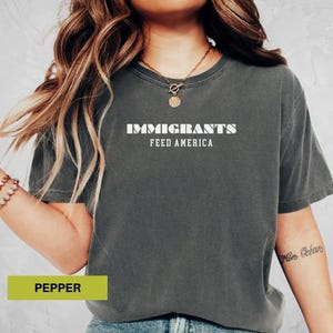 Immigrants feed america shirt Political tee Anti hate shirt Immigrants rights t-shirt Immigrant shirt Anti racism shirt Comfort colors