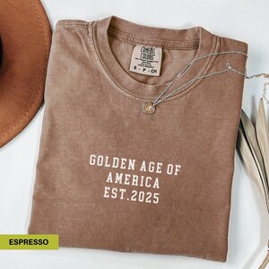 Camiseta da era de ouro da América, camiseta com citação política, cartão dourado, camisetas engraçadas pró-democracia, camiseta com humor negro sarcástico e cores confortáveis