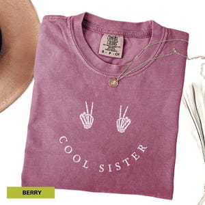 Cool Sister Shirt, Cute Birthday Gift for Sister, Funny Sister Gift, TShirt for Sister In Laws Birthday Comfort Colors Shirt Siblings gift