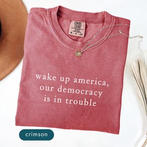 Pro democracy Comfort colors shirt Subtle anti government shirt FDT shirt Political protest tee shirts Feminist activist Womens tee shirts