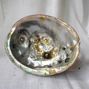 Vtg Large Abalone Shell|Smudge Incense Burner|Mod Large Shell No 5