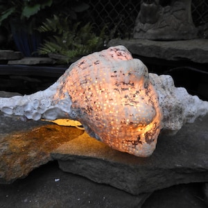 May include: A large, illuminated seashell sculpture with a warm, glowing interior. The white shell is textured with a porous surface and sits on a dark gray stone. The light casts a warm glow on the surrounding stones.