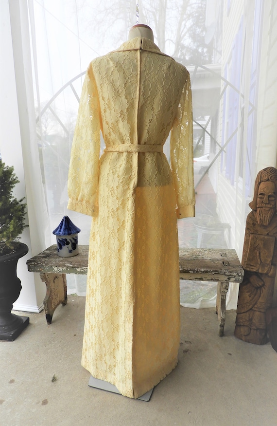 Vtg 1960's Alencon Lace Yellow Maxi Dress, Vtg Ye… - image 3