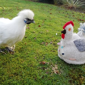 Può includere: Un pollo bianco e soffice con una cresta e bargigli blu si trova sull'erba verde di fronte a una teiera di pollo bianca a maglia con una cresta rossa e un occhio a bottone bianco. La teiera ha un beccuccio in ceramica bianca con pois blu e rosa.
