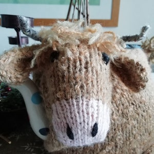 Cow, highlander cow Hand Knitted Tea Cosy